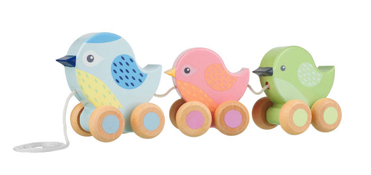 Orange Tree Toys Pull Along Birdies