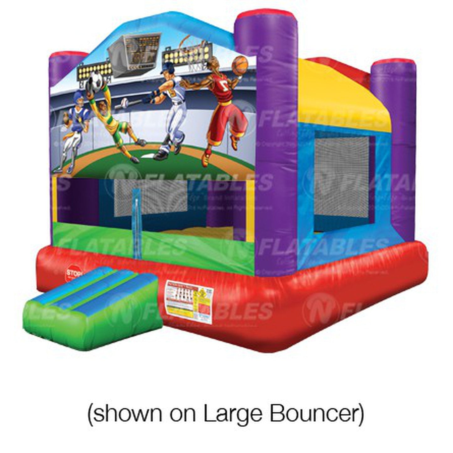 All Sport Removable Art Panel