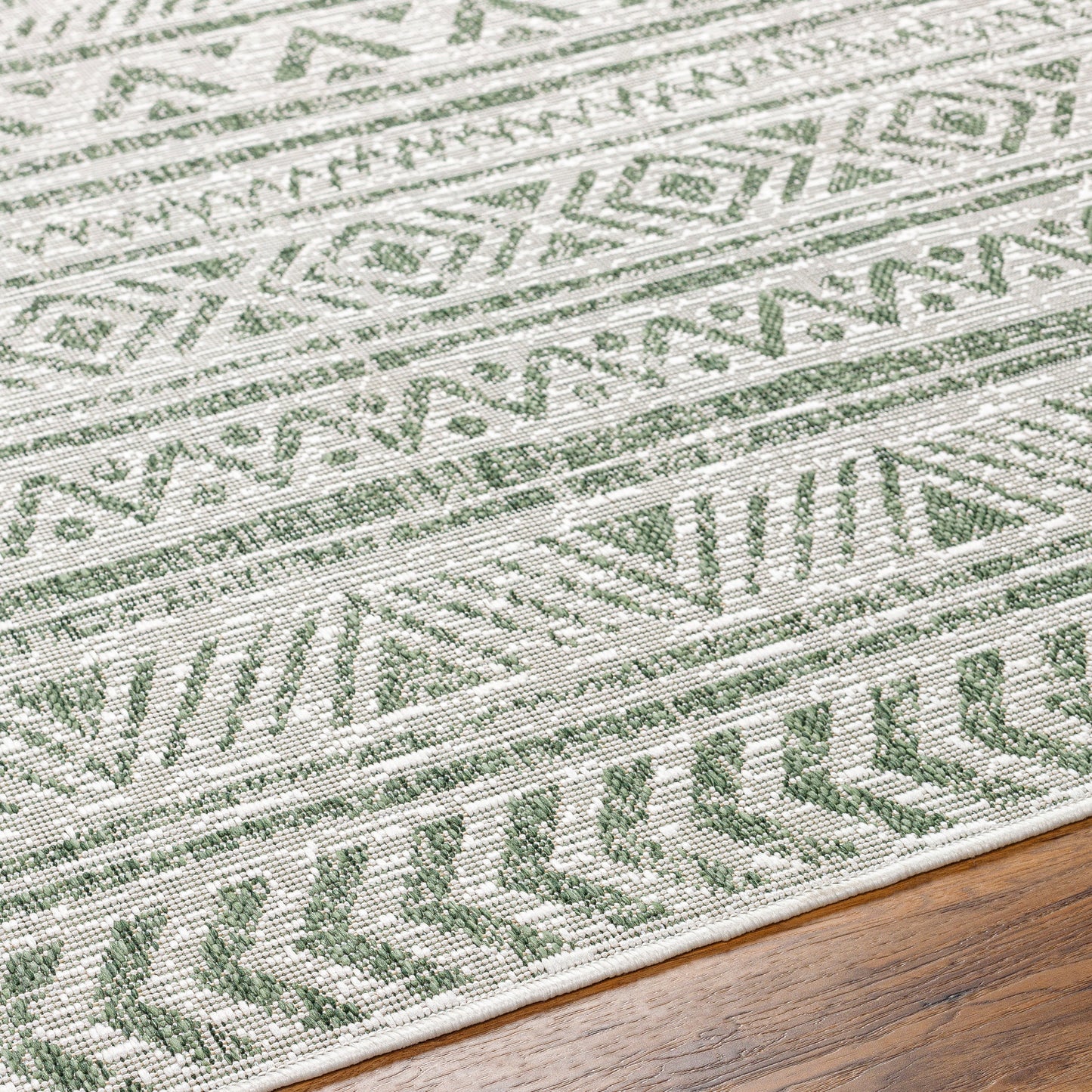 Delray Rug