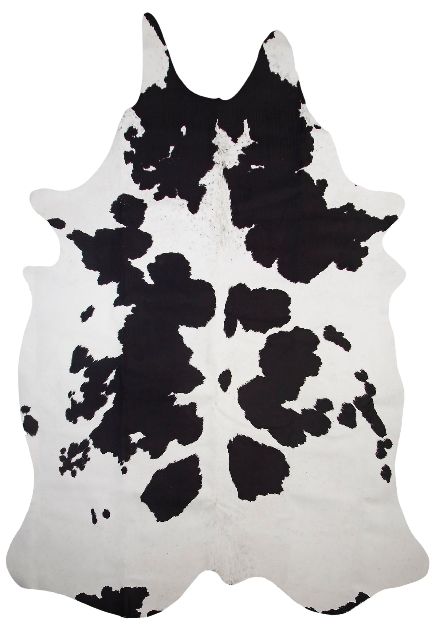 Holstein Accent Rug