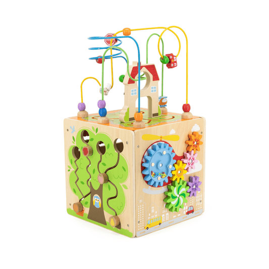5 in 1 Activity Cube