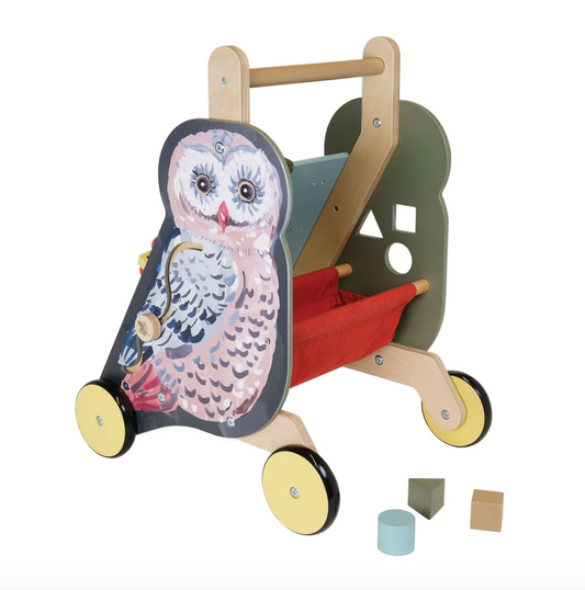 Owl Push-Cart Activity Toy