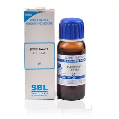 Boerhaavia Diffusa Homeopathy Mother Tincture