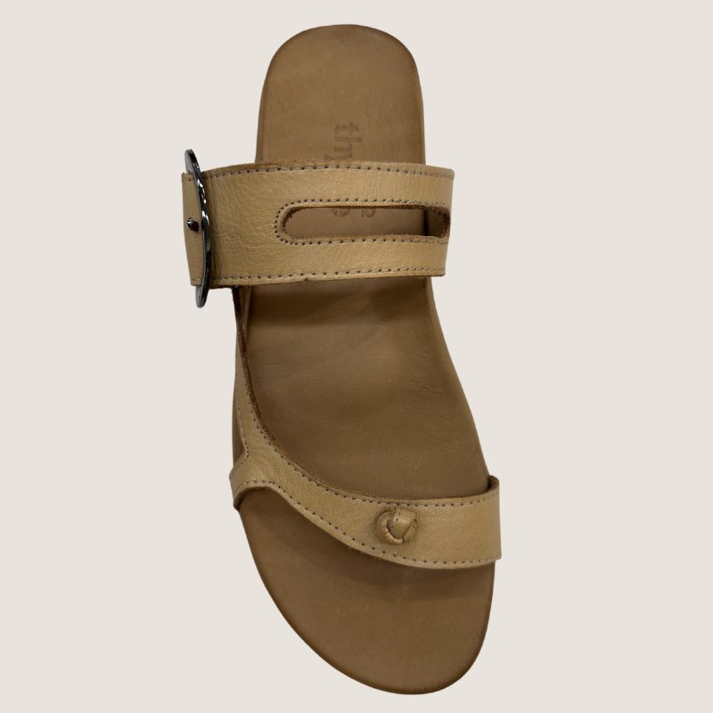 Thyme and Co Transmit Slide