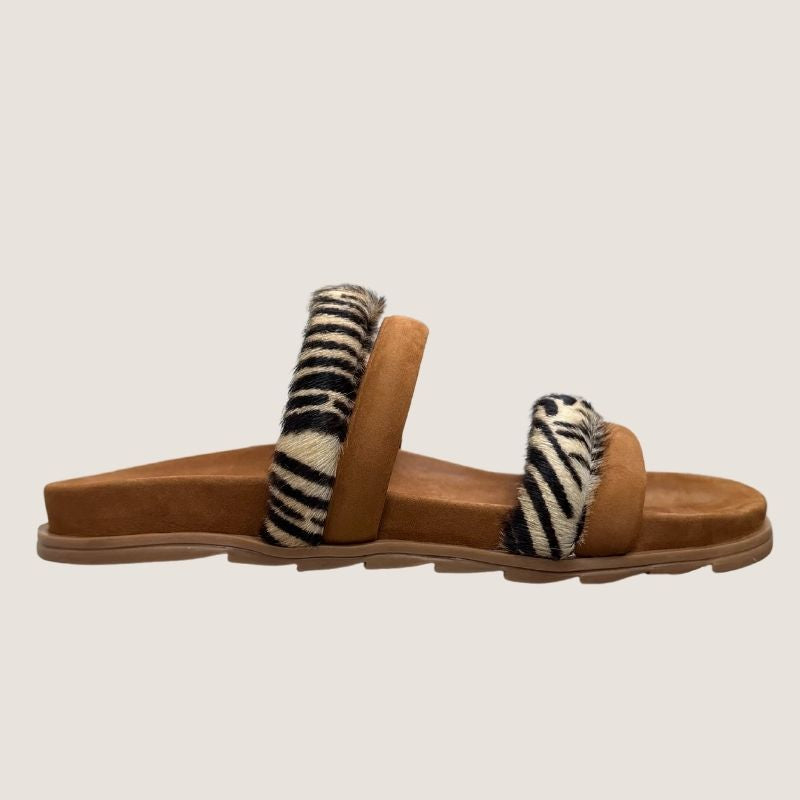 Brazilio Gloria Slide