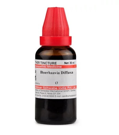 Boerhaavia Diffusa Homeopathy Mother Tincture