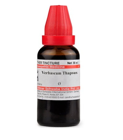Verbascum Thapsus Homeopathy Mother Tincture