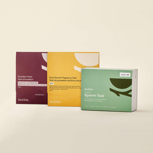 The Bird&Be Starter Pack